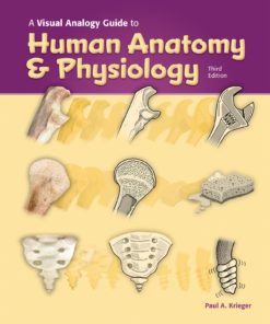 A Visual Analogy Guide to Human Anatomy & Physiology 3rd edition eBook