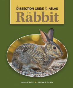 A Dissection Guide & Atlas to the Rabbit 1st edition eBook