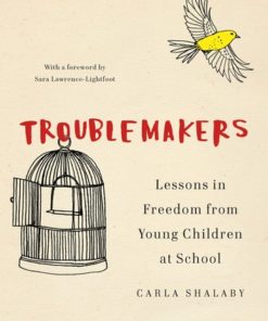 Troublemakers: Lessons in Freedom from Young Children at School eBook
