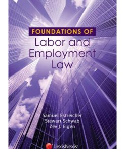 Foundations of Labor and Employment Law 1st Edition eBook