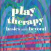 Play Therapy: Basics and Beyond eBook