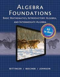 Algebra Foundations: Basic Math, Introductory and Intermediate Algebra (Subscription) eBook