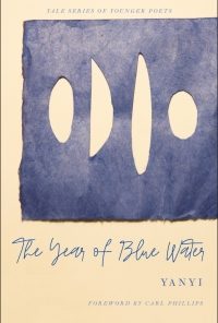 The Year of Blue Water eBook