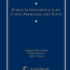 Public International Law: Cases, Problems, and Texts (2010) eBook