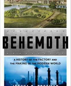 Behemoth: A History of the Factory and the Making of the Modern World eBook