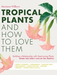 Tropical Plants and How to Love Them eBook