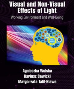 Visual and Non-Visual Effects of Light: Working Environment and Well-Being eBook