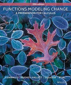 Functions Modeling Change: A Preparation for Calculus eBook