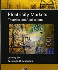 Electricity Markets: Theories and Applications eBook
