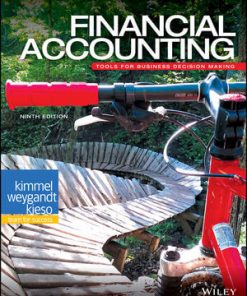 Financial Accounting: Tools for Business Decision Making eBook