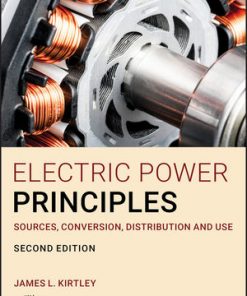 Electric Power Principles: Sources, Conversion, Distribution and Use eBook