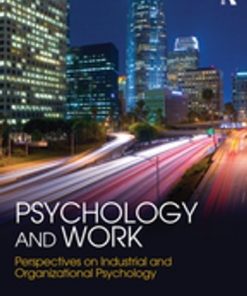 Psychology and Work: Perspectives on Industrial and Organizational Psychology eBook