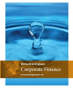 Corporate Finance: A Focused Approach eBook