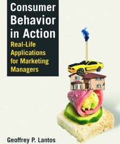 Consumer Behavior in Action: Real-life Applications for Marketing Managers eBook