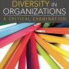 Diversity in Organizations: A Critical Examination eBook