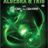 Algebra & Trigonometry eBook