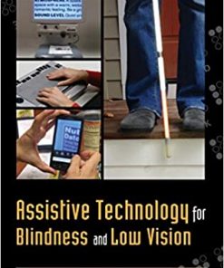Assistive Technology for Blindness and Low Vision eBook