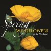 Spring Wildflowers of the Northeast eBook