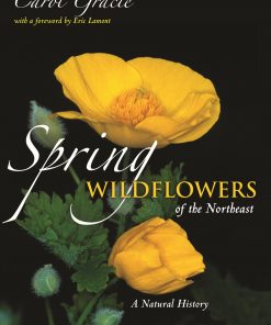 Spring Wildflowers of the Northeast eBook