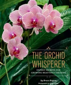 The Orchid Whisperer: Expert Secrets for Growing Beautiful Orchids eBook