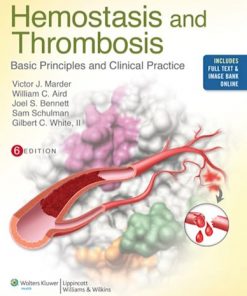 Hemostasis and Thrombosis: Basic Principles and Clinical Practice eBook