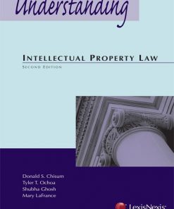 Understanding Intellectual Property Law eBook