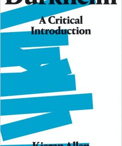 Durkheim: A Critical Introduction eBook