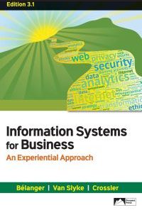 Information Systems for Business: An Experiential Approach, Edition 3.1 eBook