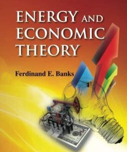 Energy And Economic Theory eBook