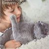 Adobe Photoshop Elements 2020 Classroom in a Book eBook