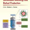 Nanobiotechnology for Sustainable Bioenergy and Biofuel Production eBook