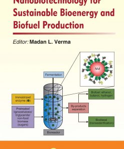 Nanobiotechnology for Sustainable Bioenergy and Biofuel Production eBook