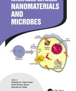 Interfaces Between Nanomaterials and Microbes eBook