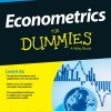 Econometrics For Dummies eBook