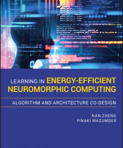 Learning in Energy-Efficient Neuromorphic Computing: Algorithm and Architecture Co-Design eBook