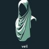 Veil eBook