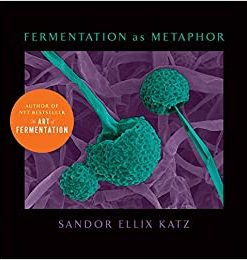 Fermentation as Metaphor: Follow Up to the Bestselling "The Art of Fermentation" eBook