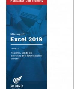 Microsoft Excel 2019 Level 1 (Student Edition) eBook