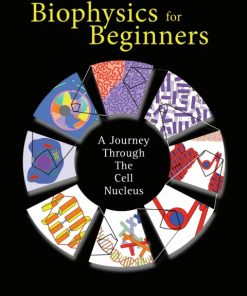 Biophysics for Beginners: A Journey through the Cell Nucleus eBook
