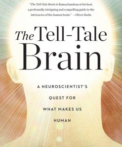 The Tell-Tale Brain: A Neuroscientist's Quest for What Makes Us Human eBook