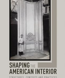 Shaping the American Interior: Structures, Contexts and Practices eBook
