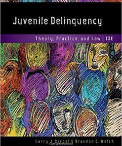 Juvenile Delinquency: Theory, Practice, and Law eBook