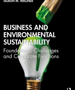 Business and Environmental Sustainability: Foundations, Challenges and Corporate Functions eBook