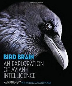 Bird Brain: An Exploration of Avian Intelligence eBook