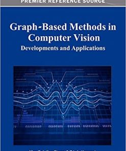 Graph-Based Methods in Computer Vision eBook