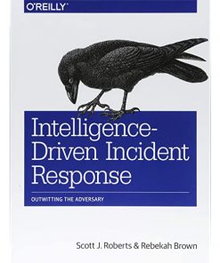 Intelligence-Driven Incident Response: Outwitting the Adversary eBook