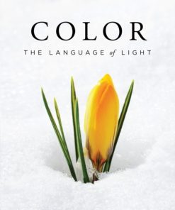 Color: The Language of Light eBook