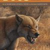 Dogs: Their Fossil Relatives and Evolutionary History eBook