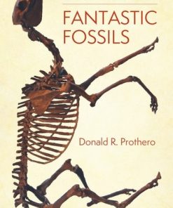 Fantastic Fossils: A Guide to Finding and Identifying Prehistoric Life eBook