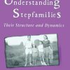 Understanding Stepfamilies: Their Structure and Dynamics eBook